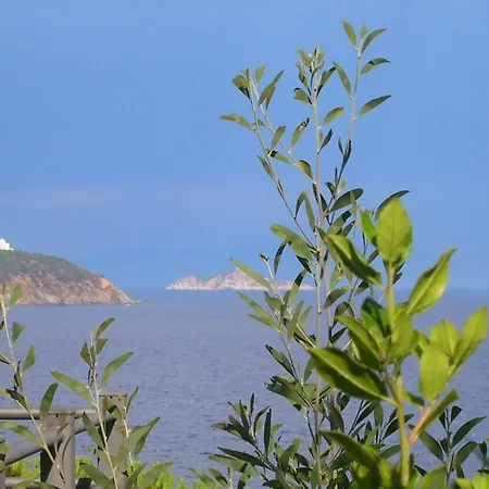La Scappatoia * Cavo